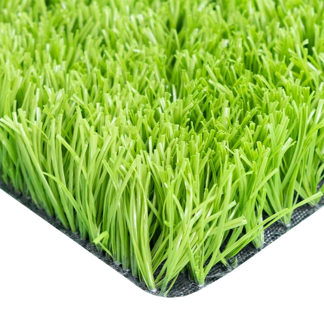 ULG-ALG-004 - Lime Grass — image 1