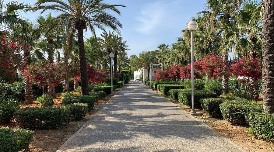 Flower Park Phase 3