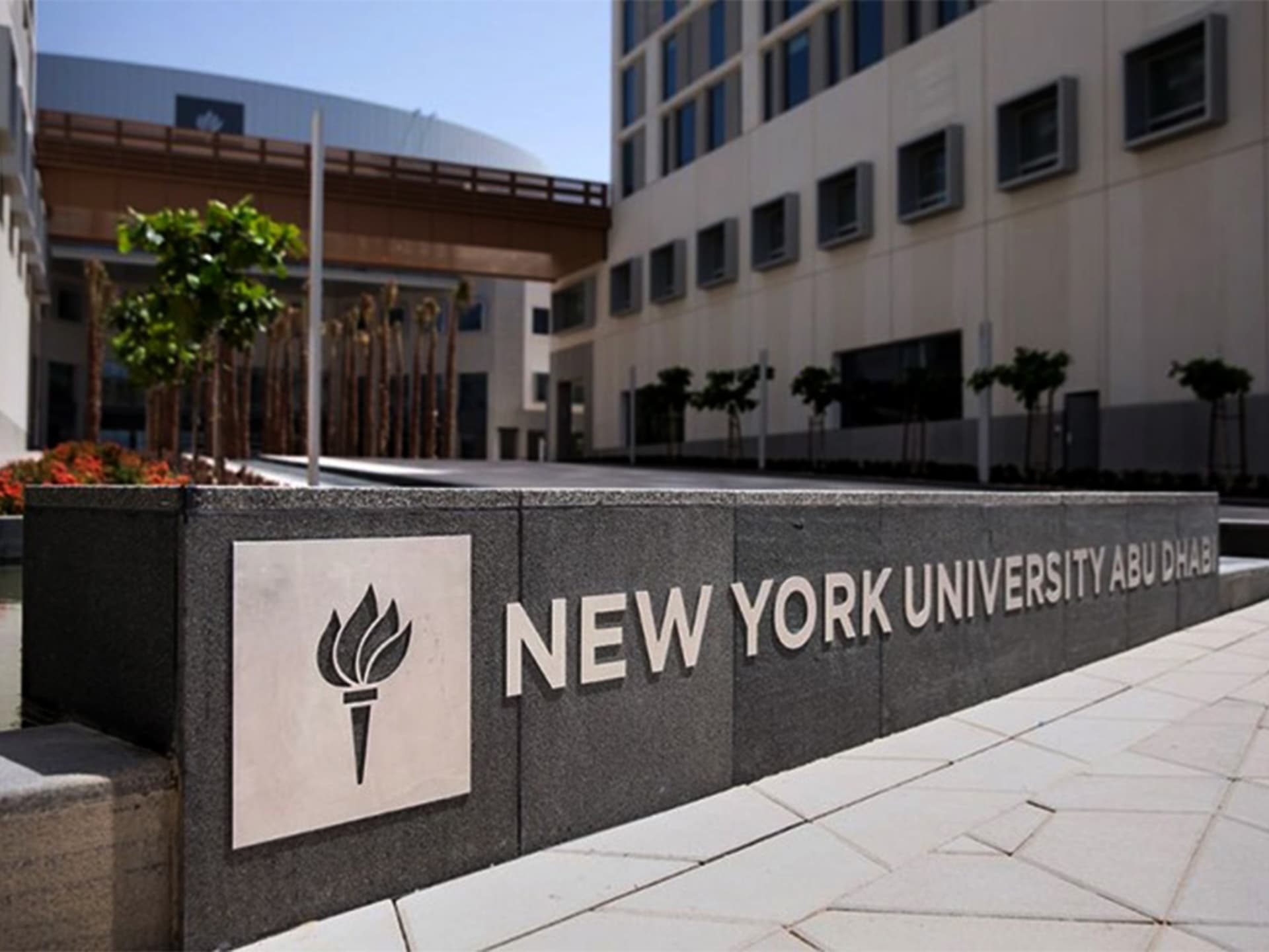 New York University, Saadiyat Island