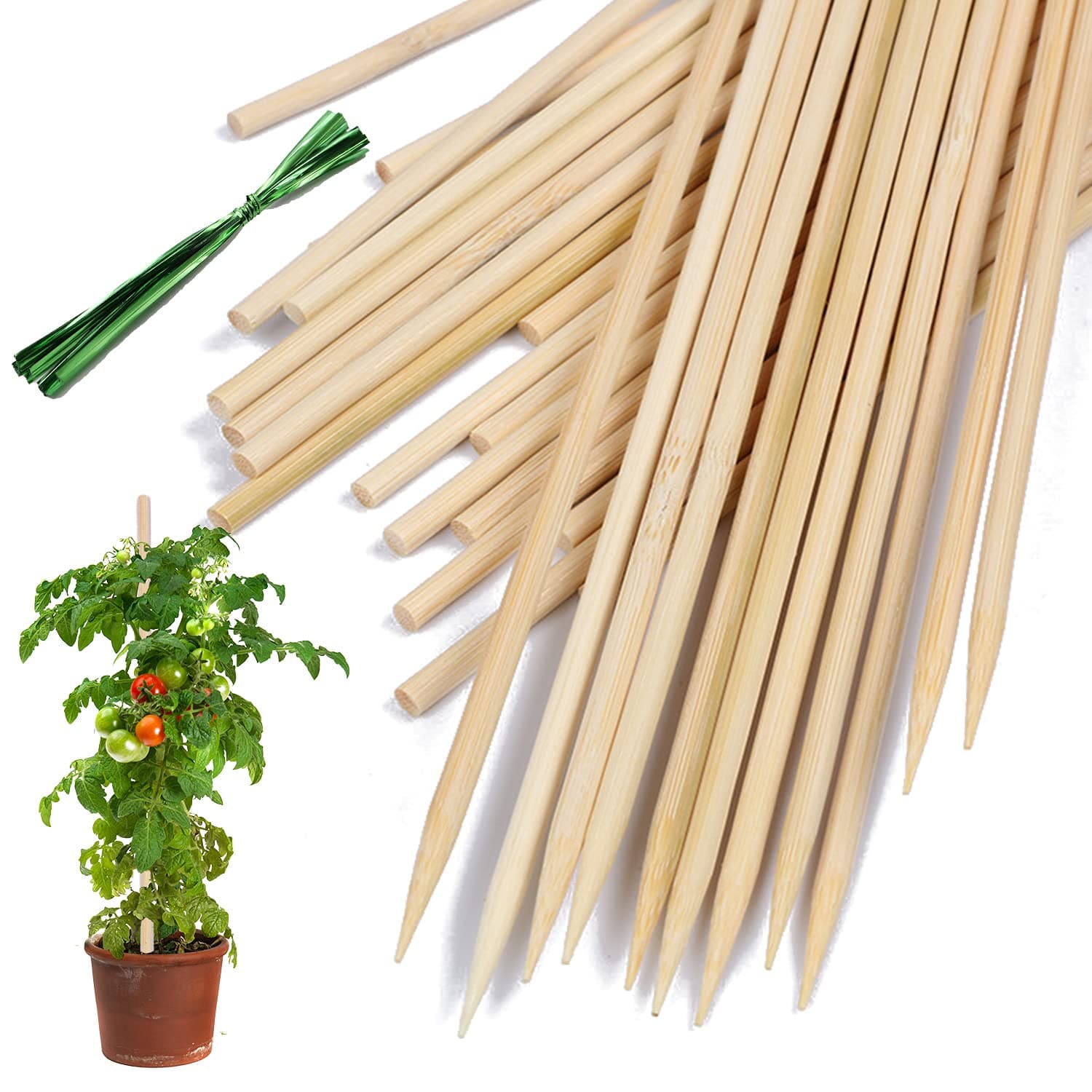 ULG-TST-002 - Bamboo Tree Stakes — image 1