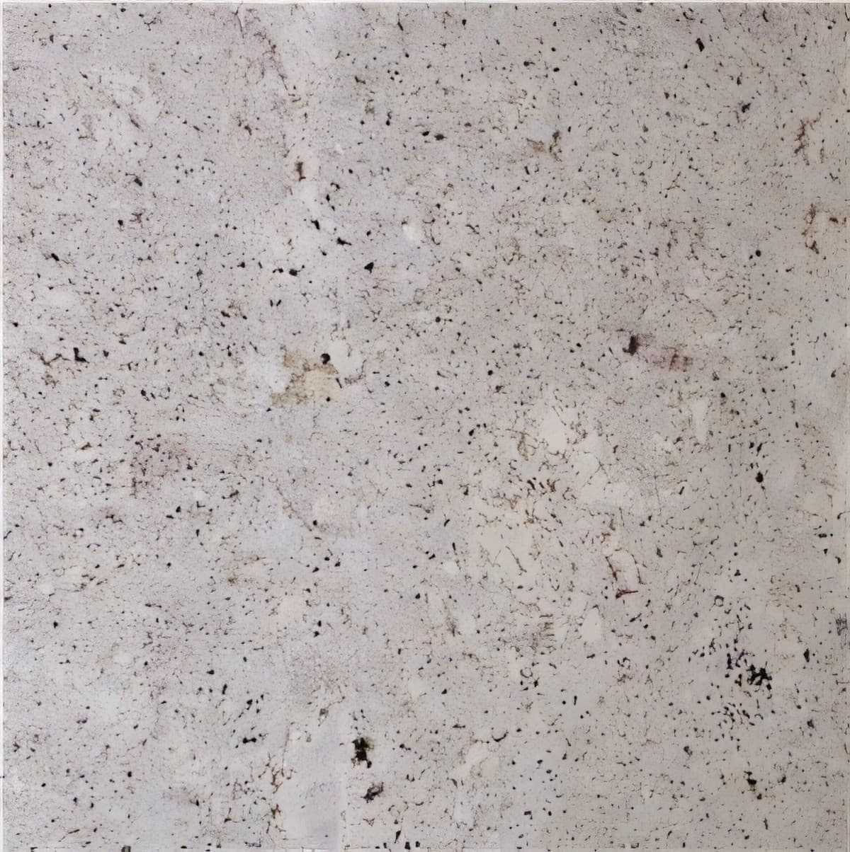ULG-GRN-081 - Andino White Granite — image 1