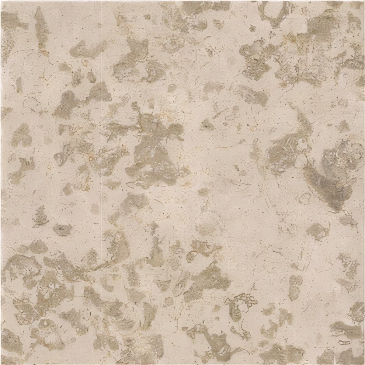 ULG-LMS-034 - Kanfanar Limestone — image 1