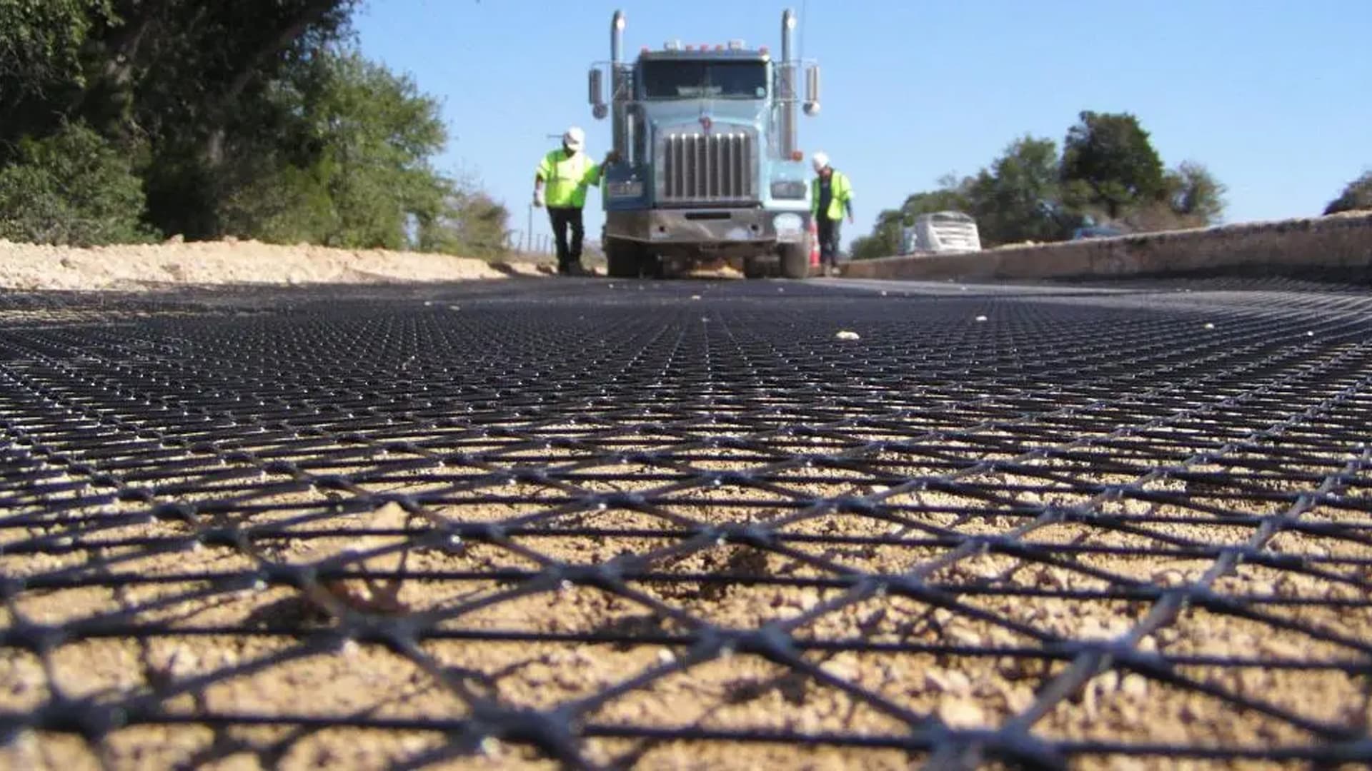 Geogrid