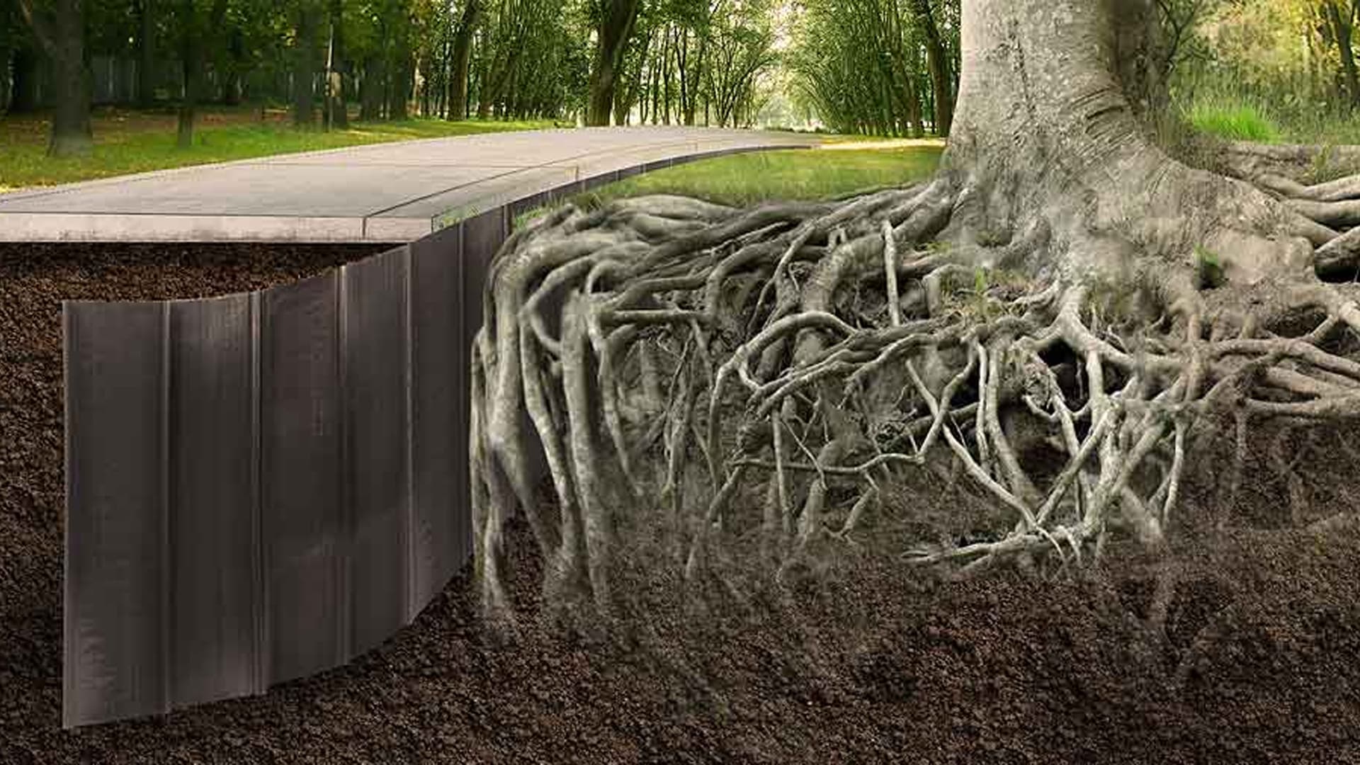 Root Barriers