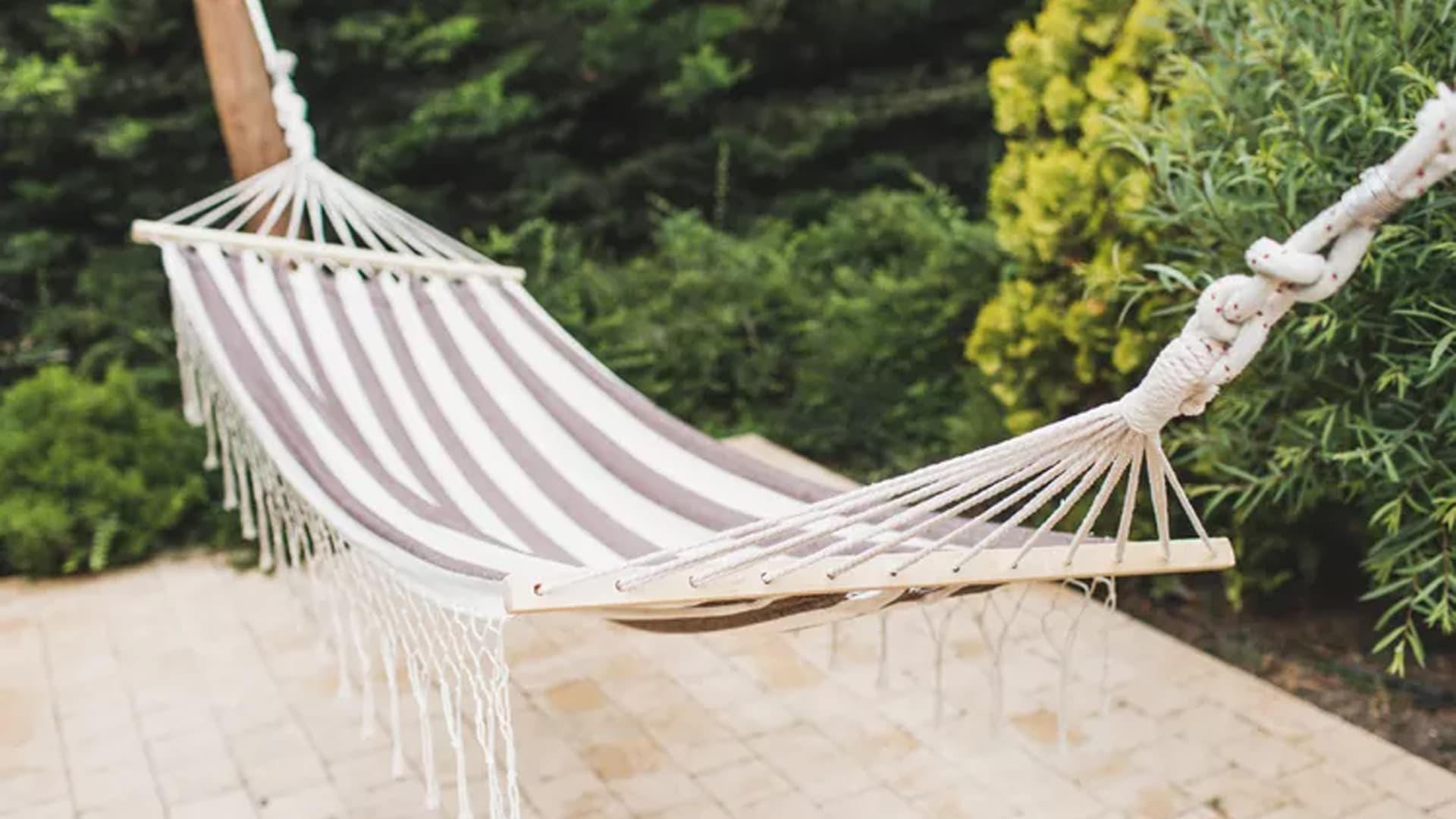 Hammocks
